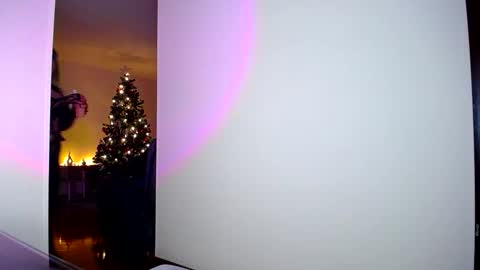 JULI  AARON online show from November 2025 02:00:01 AM