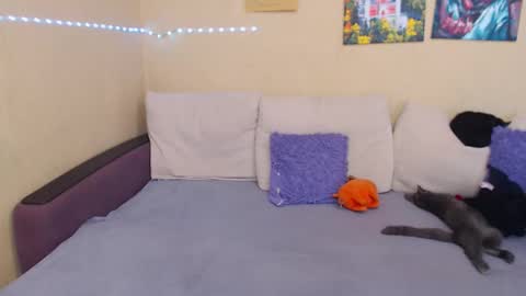 Jul online show from September 2025 02:06:01 PM