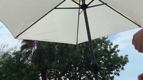 Julie and TheAverageGuy aka Max online show from September 2025 01:45:01 PM