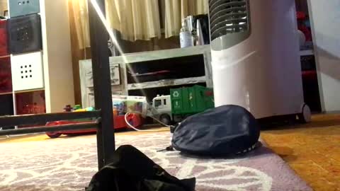 Snapshot of julieface87 chatting on March 2026 10:10:01 AM julieface87 online show from March 2026 10:10:01 AM