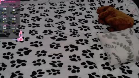 Snapshot of julieqt chatting on February 2025 06:21:01 AM julieqt online show from February 2025 06:21:01 AM