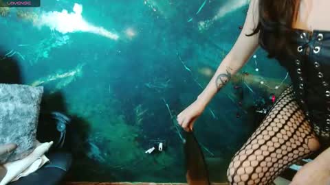    online show from November 2025 05:18:02 AM