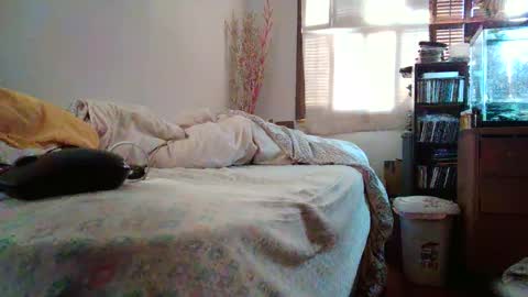 jumpingflash online show from December 2024 04:20:01 PM