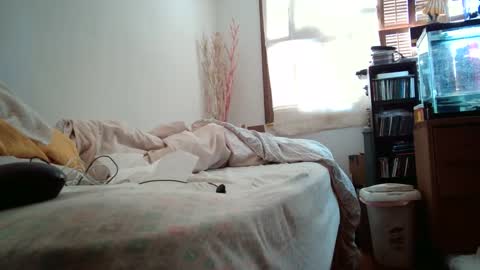 jumpingflash online show from December 2024 07:27:02 PM