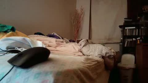 jumpingflash online show from December 2024 07:05:01 AM