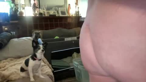 Snapshot of just4you101 chatting on February 2026 09:52:01 PM Flirty influncer online show from February 2026 09:52:01 PM