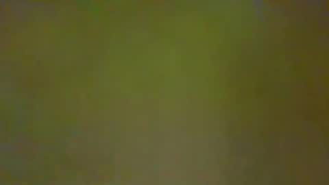 McKeefer online show from February 2026 04:52:02 PM