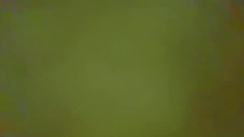 McKeefer online show from February 2026 02:37:02 PM