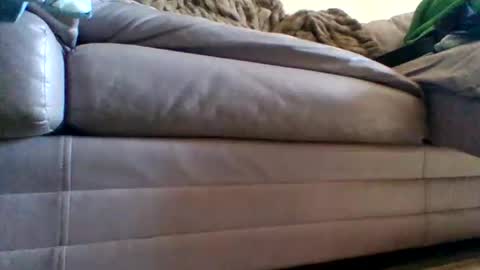 Snapshot of justgrosch4200 chatting on February 2026 05:46:02 PM justgrosch4200 online show from February 2026 05:46:02 PM