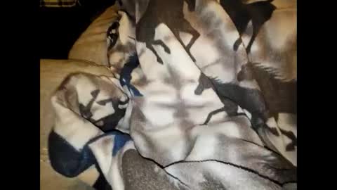 Snapshot of justswack chatting on December 2024 08:44:02 AM justswack online show from December 2024 08:44:02 AM