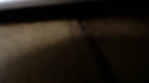 Snapshot of jwb9999 chatting on December 2024 04:47:01 AM jwb9999 online show from December 2024 04:47:01 AM