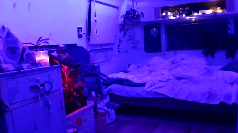 Snapshot of jwolf11851725 chatting on September 2025 08:05:01 AM jwolf11851725 online show from September 2025 08:05:01 AM