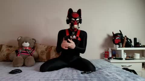 Snapshot of k9_goodboy chatting on May 2026 06:45:01 PM Alex online show from May 2026 06:45:01 PM
