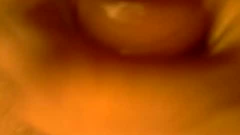 kaatingen online show from September 2025 12:10:02 PM