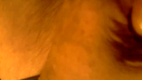 kaatingen online show from November 2025 03:10:02 PM