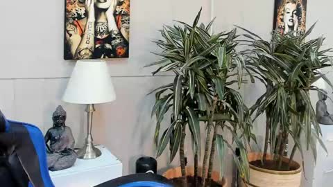 kai_storn online show from May 2026 10:54:01 AM