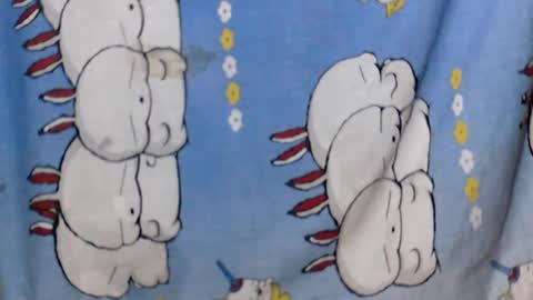 kaillah online show from February 2025 07:09:02 AM