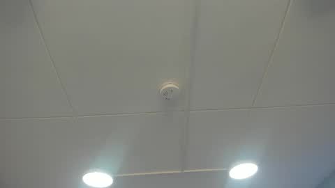 Snapshot of kairose_ chatting on December 2025 07:20:02 PM Kai Rose online show from December 2025 07:20:02 PM