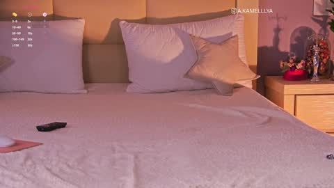 Kamelllya online show from February 2025 08:35:01 AM