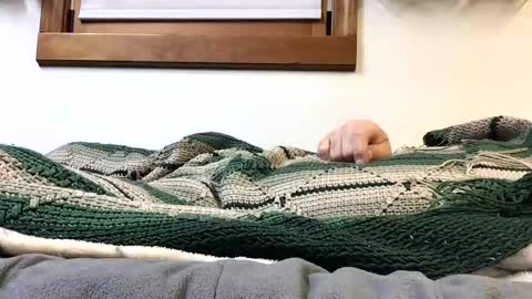 kansas_mastutbater online show from October 2025 02:30:02 AM