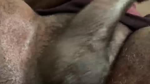 Snapshot of karadi5 chatting on December 2024 09:39:02 AM Snookie online show from December 2024 09:39:02 AM