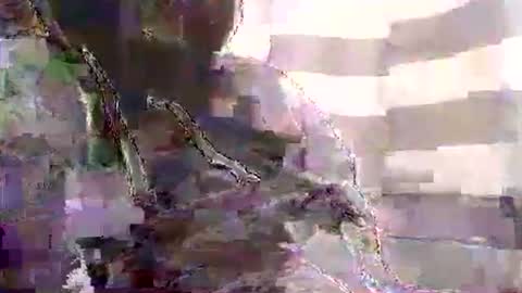 Snapshot of karnyx3 chatting on January 2025 10:54:01 AM Karlos Montoya online show from January 2025 10:54:01 AM