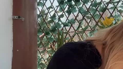 karoline121 online show from March 2026 09:12:01 AM