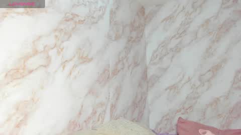 Snapshot of kaseydelvey chatting on January 2025 06:51:01 PM online show from January 2025 06:51:01 PM