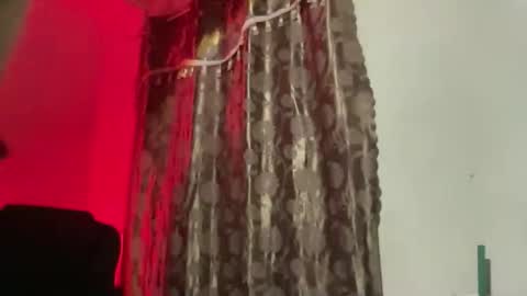 Snapshot of kat_hollandx chatting on November 2025 07:35:01 PM Majesty online show from November 2025 07:35:01 PM