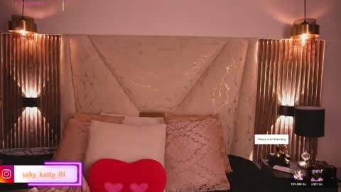 Snapshot of kat_saky chatting on April 2026 11:49:02 PM Saky online show from April 2026 11:49:02 PM