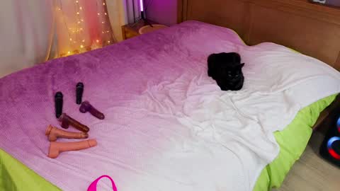 Snapshot of kate_sexhouse chatting on December 2024 12:22:01 PM Kate Sex-House MILA WAYGMT2 MonTue 0300am-1500am online show from December 2024 12:22:01 PM