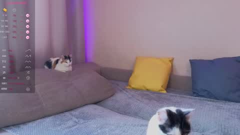 Snapshot of katerinnna chatting on January 2025 05:52:02 AM Katerina online show from January 2025 05:52:02 AM