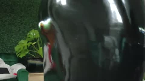 Snapshot of katieericson13 chatting on January 2025 05:49:02 PM Kate online show from January 2025 05:49:02 PM