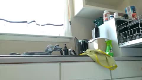 Snapshot of katieericson13 chatting on February 2025 07:38:02 PM Kate online show from February 2025 07:38:02 PM