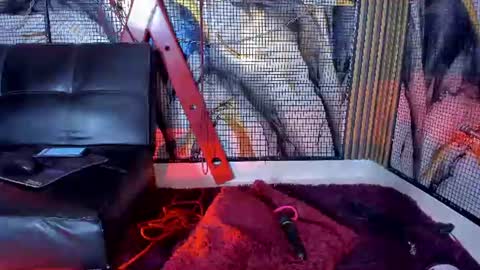 Snapshot of katizaldana chatting on June 2026 08:25:02 AM kati online show from June 2026 08:25:02 AM