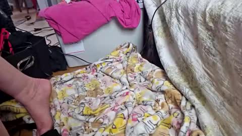 katladyzsafespace online show from December 2025 05:54:02 PM