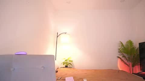 Follow me on instagram and twitter as correaktnees online show from December 2025 07:02:02 AM