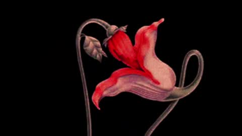 Snapshot of katsurotaro chatting on March 2025 09:11:02 PM katsuro online show from March 2025 09:11:02 PM