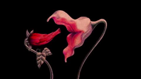 Snapshot of katsurotaro chatting on November 2025 09:24:02 PM katsuro online show from November 2025 09:24:02 PM