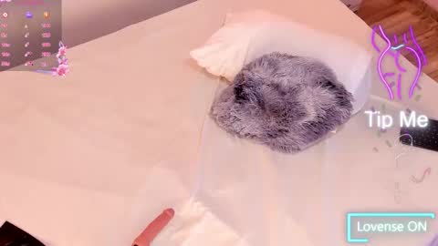 Katta online show from February 2026 12:22:02 PM