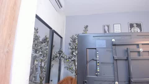 Katerine online show from January 2025 10:28:01 AM