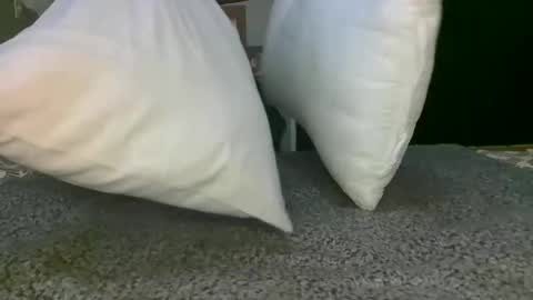 Snapshot of kawaiibabypie chatting on December 2024 12:43:02 PM kawaiibabypie online show from December 2024 12:43:02 PM