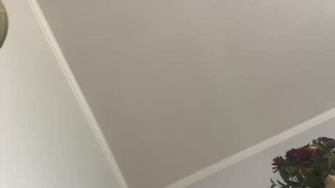 Snapshot of kcdad0001 chatting on February 2025 03:59:02 PM kcdad0001 online show from February 2025 03:59:02 PM