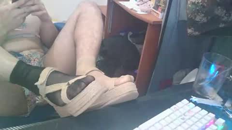 Snapshot of kcitrus chatting on February 2026 07:39:02 AM kcitrus online show from February 2026 07:39:02 AM