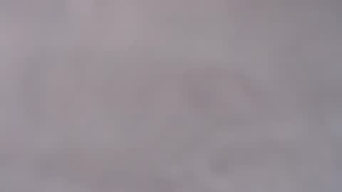 Aniki online show from April 2026 12:33:01 PM