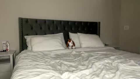 Kekeoutlaw online show from February 2026 02:57:02 PM