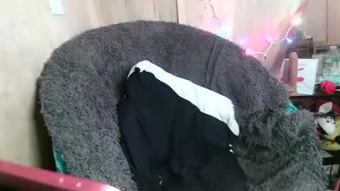 Kennedy Nova  online show from January 2025 10:24:01 PM