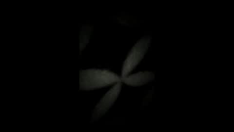 Snapshot of kenzo6140 chatting on April 2026 12:33:01 AM kenzo6140 online show from April 2026 12:33:01 AM