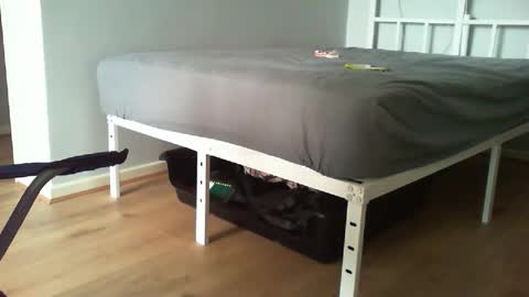 Snapshot of kevee1955 chatting on February 2026 11:00:02 AM Daddyo online show from February 2026 11:00:02 AM