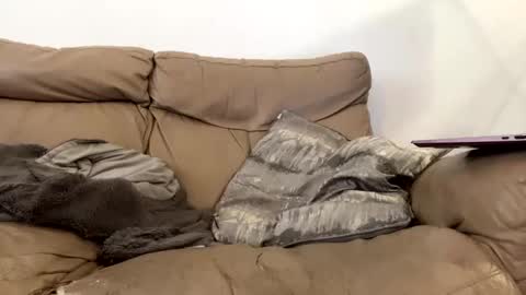 Snapshot of kevfromchat chatting on January 2025 01:31:01 PM kevfromchat online show from January 2025 01:31:01 PM